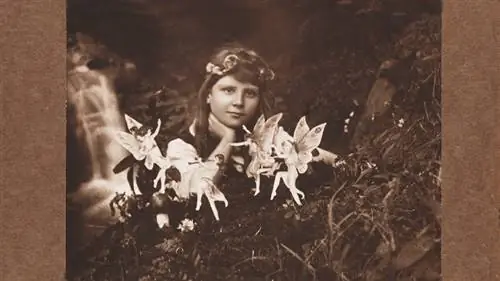 Коттингли Феи