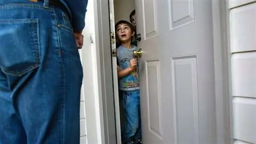 Falcon Heene мальчик из воздушных шаров