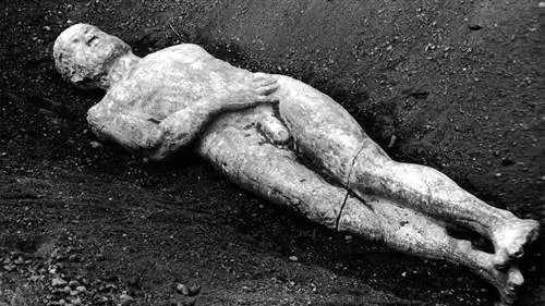 Кардифф Гигант