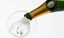 10 жутких подробностей, которыми не стоит делиться в свадебном тосте