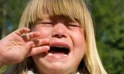 Сделайте несколько предложений. Ваш маленький ребенок может быть просто разочарован тем, что у него нет слов, чтобы сказать, что у него на уме.