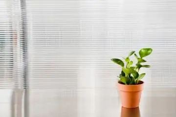 Как НАСА помогло улучшить качество воздуха и воды?