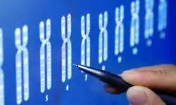 Генетика за работой Картинки