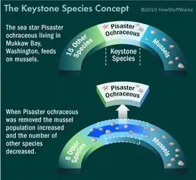 краеугольные камни