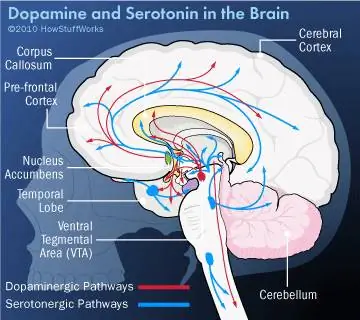 Будет ли когда-нибудь «таблетка счастья»?
