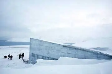 Могут ли банки семян спасти исчезающие растения?