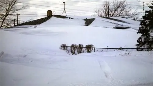 Буйволиная метель 1977 года.