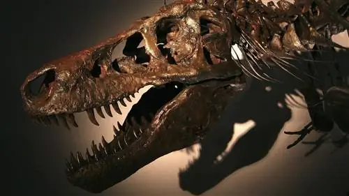 Т. Рекс не целовал и не говорил, но мог иметь губы