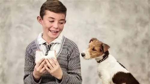 собачьи объедки