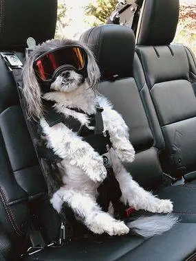 ремень безопасности ракетчик