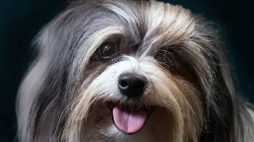 низкий