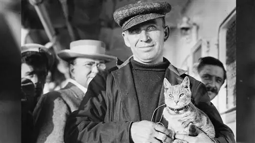 Как резвая кошка вошла в историю авиации