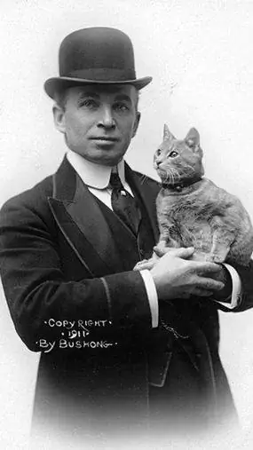 детка кошка