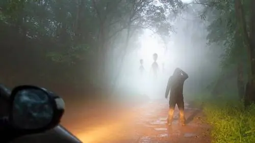 контакт с инопланетянами