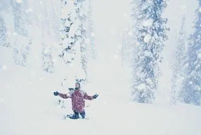 Что, если бы мы накрыли город гигантским стеклянным куполом?