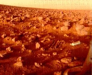 Сколько еды и воды вам нужно на год пребывания на Марсе?