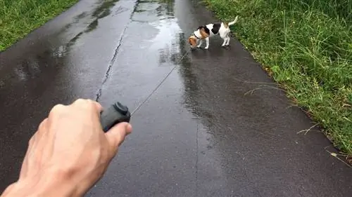 выдвижной поводок