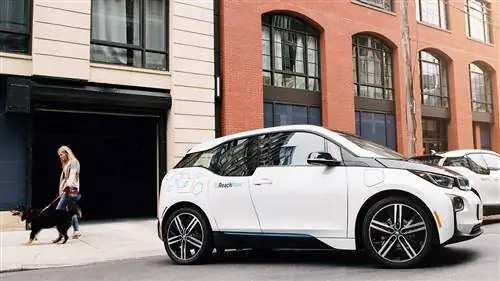 Когда совместное использование автомобилей и домашние животные сходятся