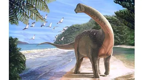 титанозавр динозавр Mansourasaurus shahinae