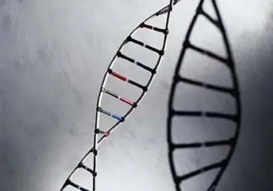 Как действуют наследственные болезни