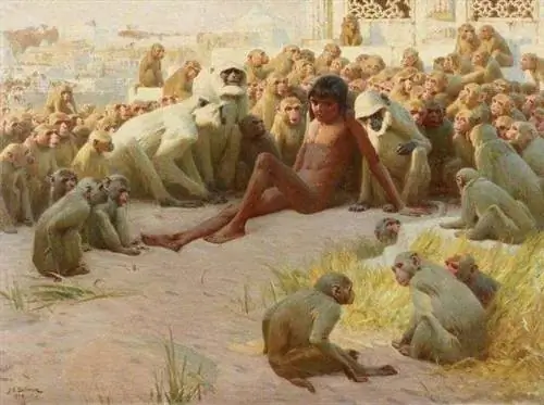Полная ширина