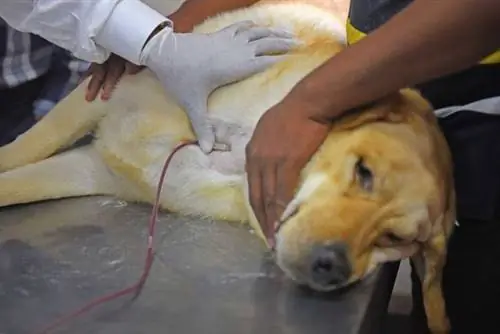 Полная ширина