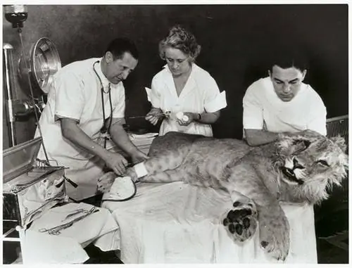 Полная ширина