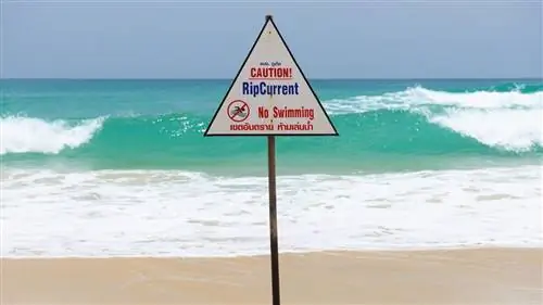 Как работают разрывные течения