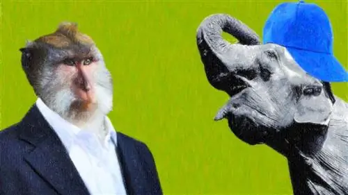 Должны ли другие животные иметь те же права (и обязанности), что и люди?