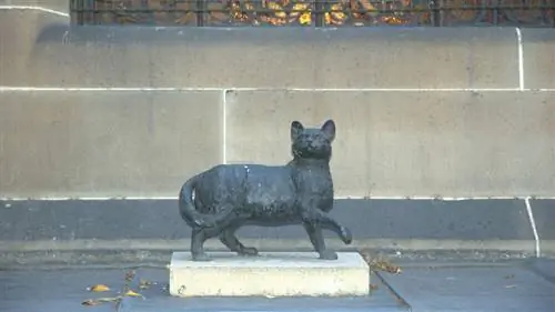 статуя Трима