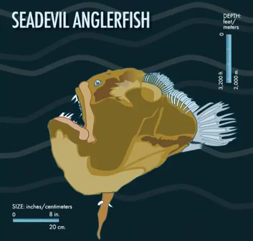 Эй, красотка.