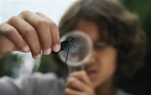 Зачем мы изучаем ошибки?