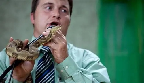 Как работают обработчики змей