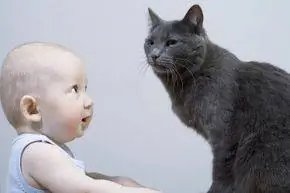 Младенец смотрит на кошку.