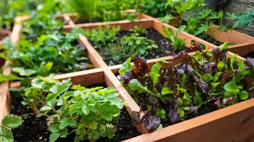 квадратный фут в саду