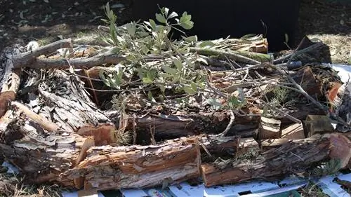 огромная культура