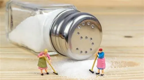 использует для соли