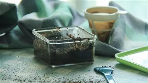 кофейный скраб для лица