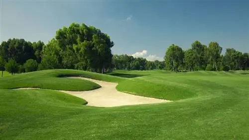 Травяное поле для гольфа Zoysia