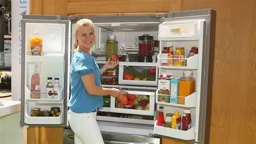 Эллисон Суини, Frigidaire
