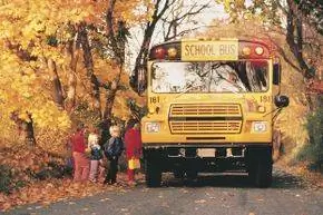 Если в вашем будущем есть дети, близость к хорошим школам должна учитываться при поиске дома.