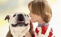 Малыш с собакой