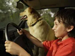 Плохая идея