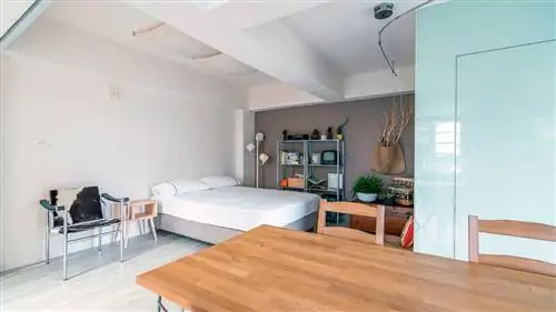 Как получить максимум от квартиры-студии