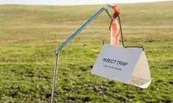 ловушка для насекомых