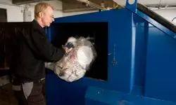 Регулярно выносите мусор и не оставляйте старые сумки лежать неделями.