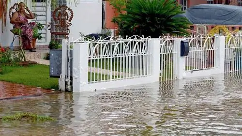 Ураган Фиона