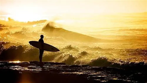 серфер, Новый Южный Уэльс