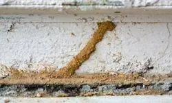 грязевая трубка