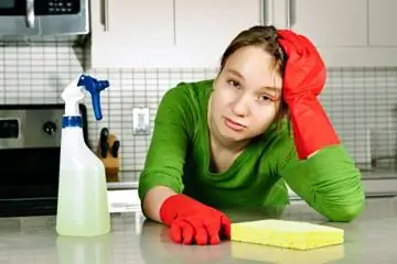 Наемный помощник или смазка для локтей: какой самый доступный способ уборки?